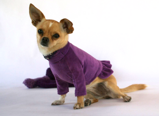 Velura Dog Sweater with Frill Purple / Extra small